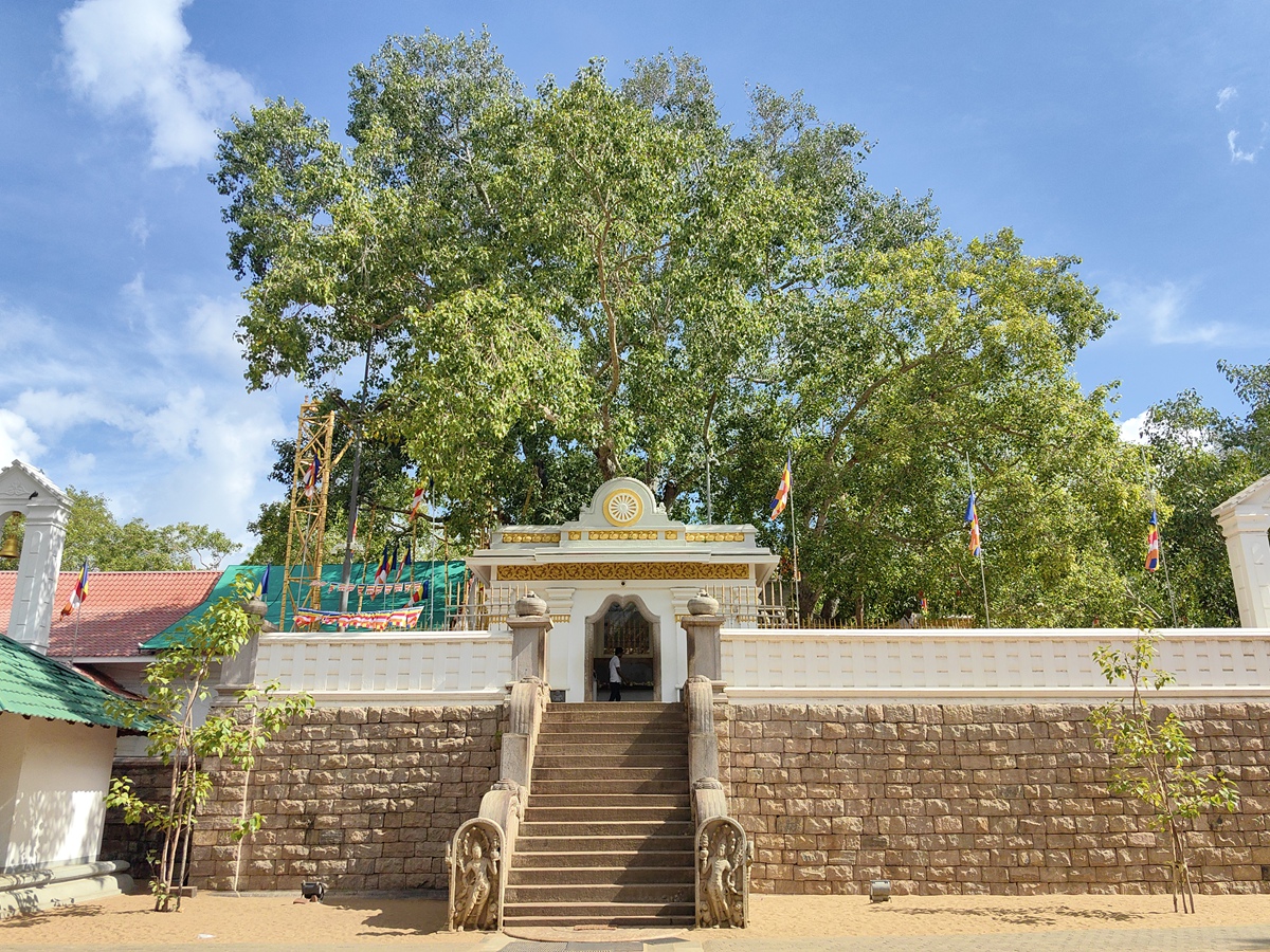 摩訶寺 Mahavihara